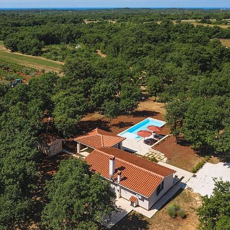 Villa Martinetinka Воднян Екстер'єр фото