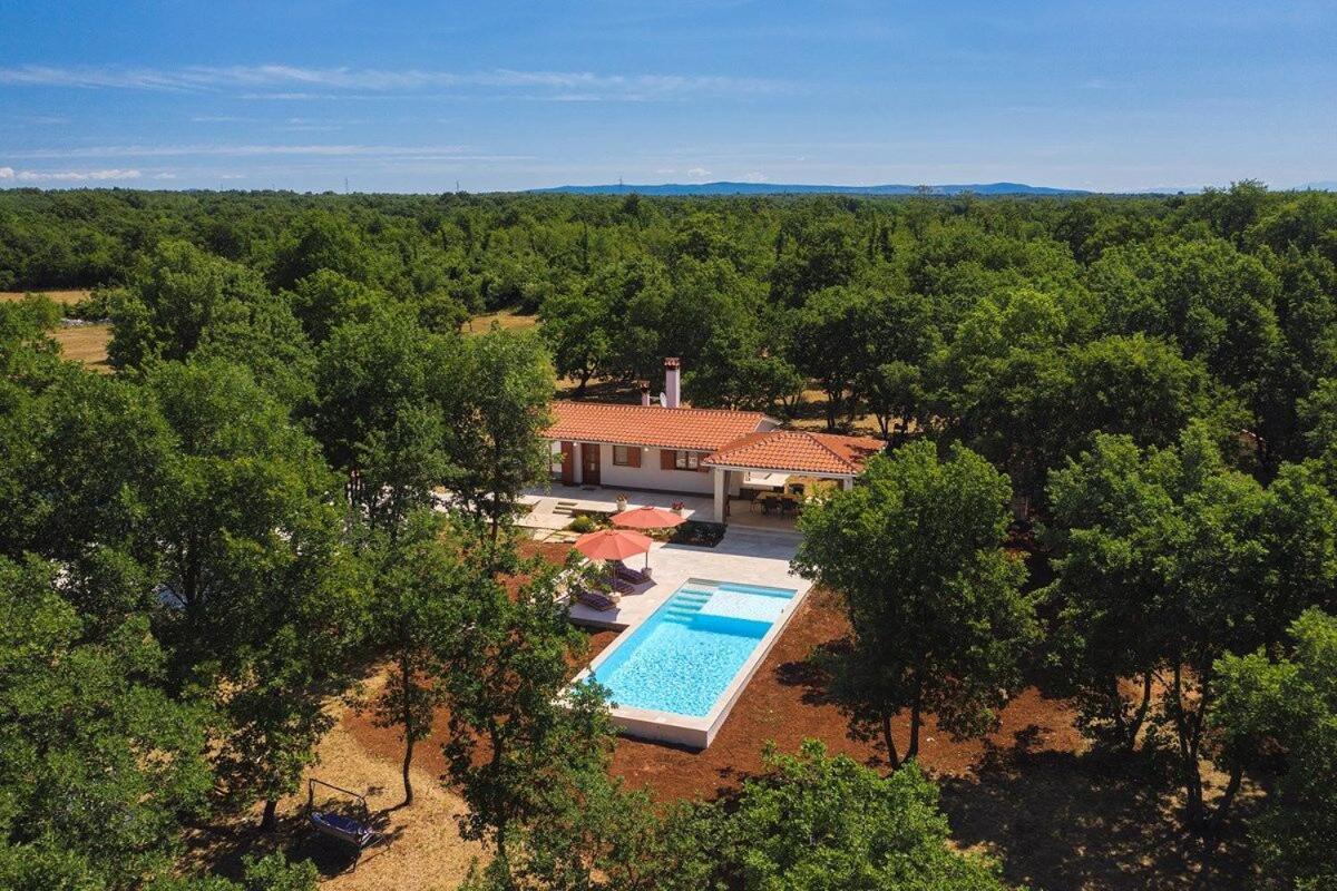 Villa Martinetinka Воднян Екстер'єр фото