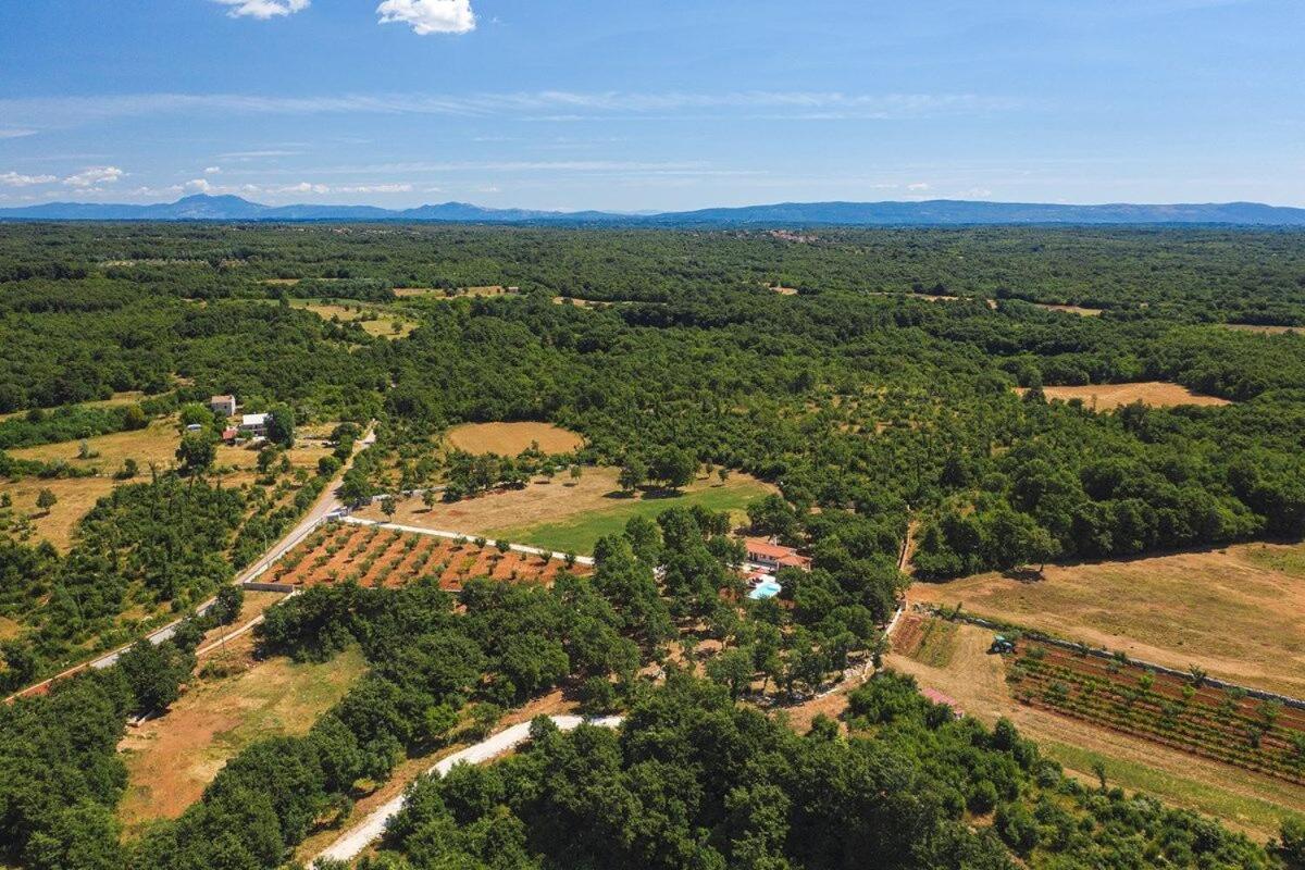 Villa Martinetinka Воднян Екстер'єр фото