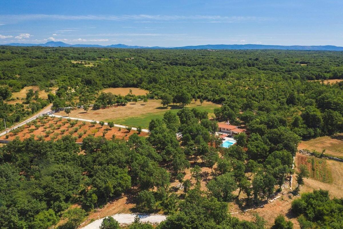 Villa Martinetinka Воднян Екстер'єр фото