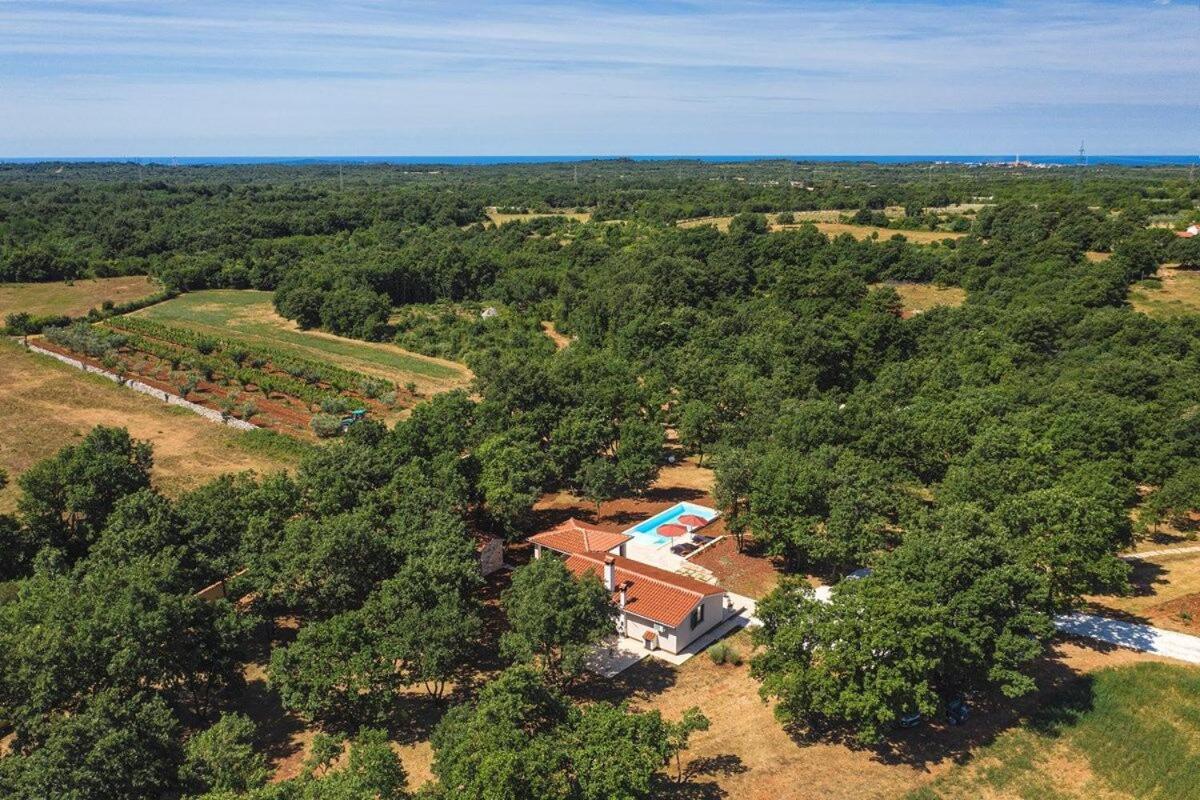 Villa Martinetinka Воднян Екстер'єр фото