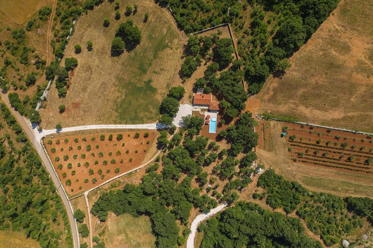 Villa Martinetinka Воднян Екстер'єр фото