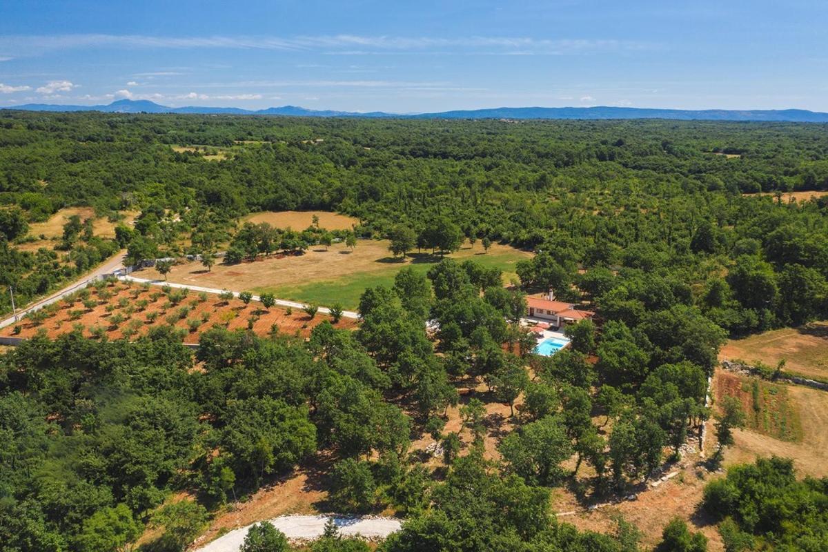 Villa Martinetinka Воднян Екстер'єр фото